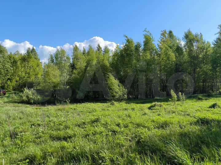 Участок 32 сот. (ИЖС)