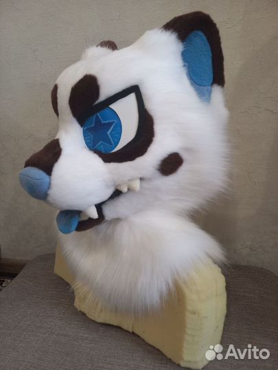 Фурсьют кота