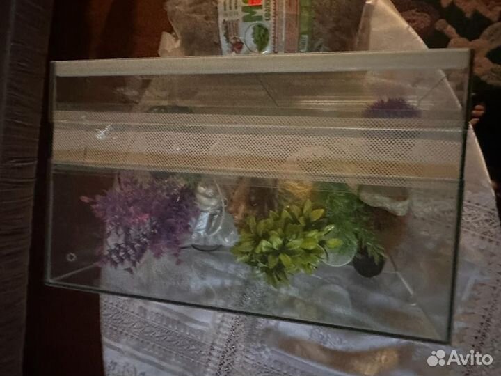 Террариум для рептилий бу