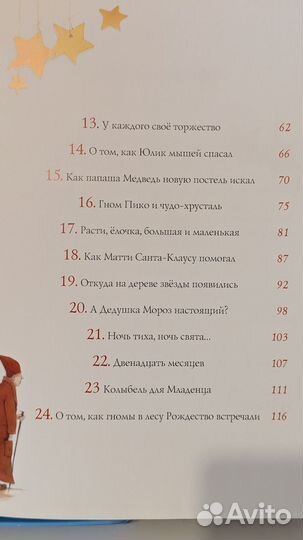 Бригитта Венингер 24 зимние истории