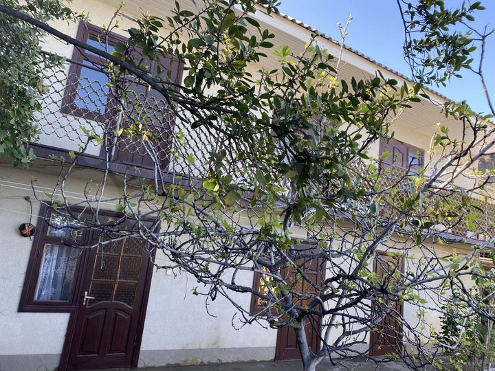 Дом 300 м² на участке 5 сот.