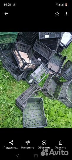 Ящик для фруктов, овощей, ягод, 50 шт пластиковый