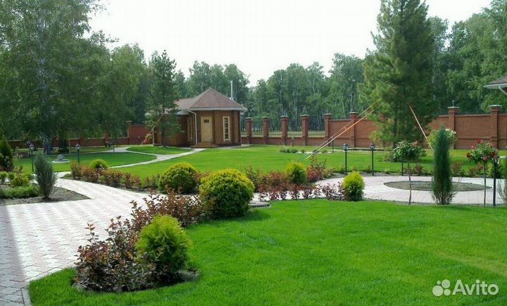 Рулонный живой газон