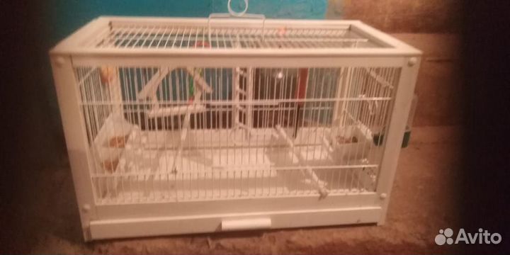 Клетка для попугая