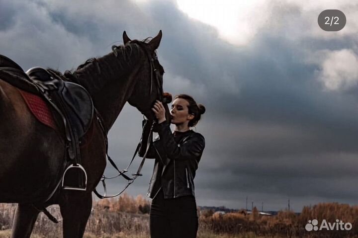 Аренда лошади
