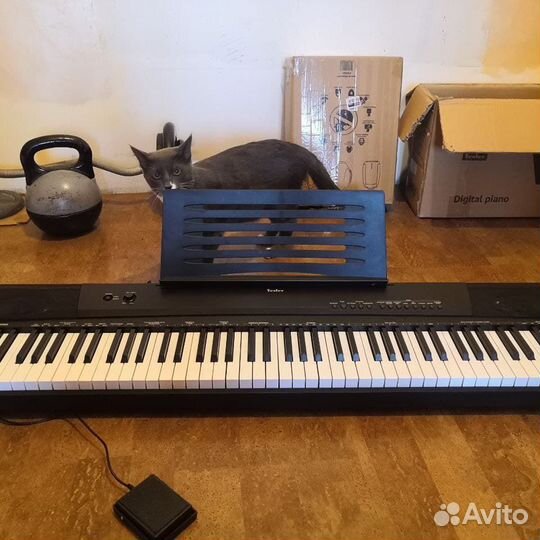 Цифровое пианино tesler 8850