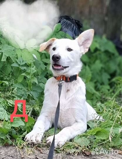 Малыши 3,5-4 мес