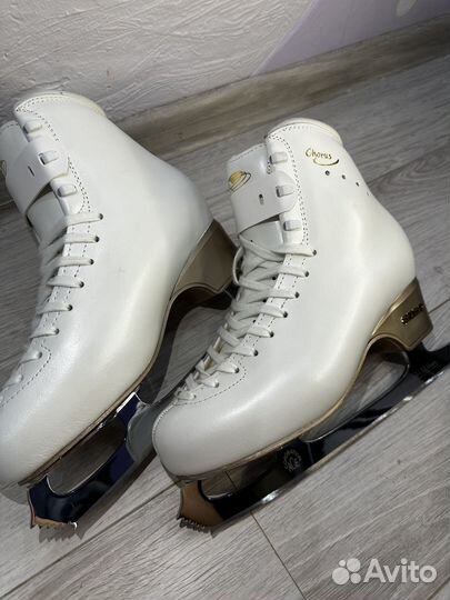 Коньки фигурные Edea Chorus NEW 260C