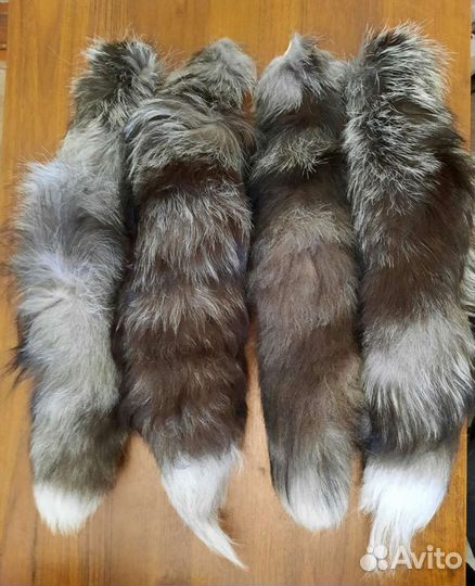 Хвост чернобурки