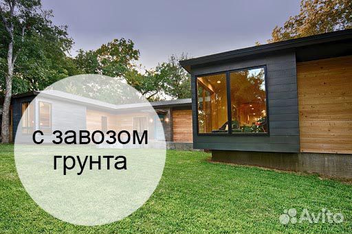 Универсальный сорт Теневыносливого газона Одинцово