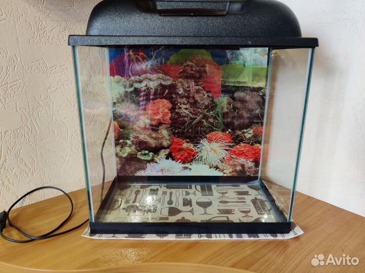 Аквариум, Террариум