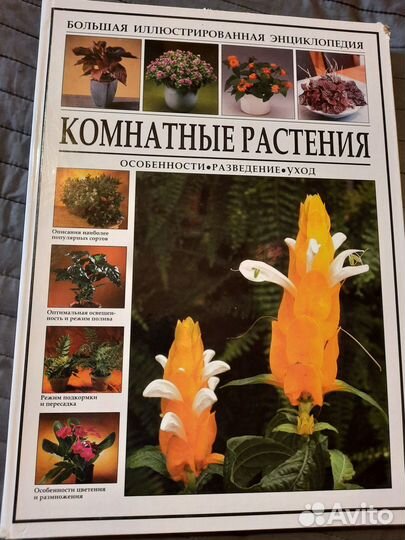 Большая энциклопедия Комнатные растения