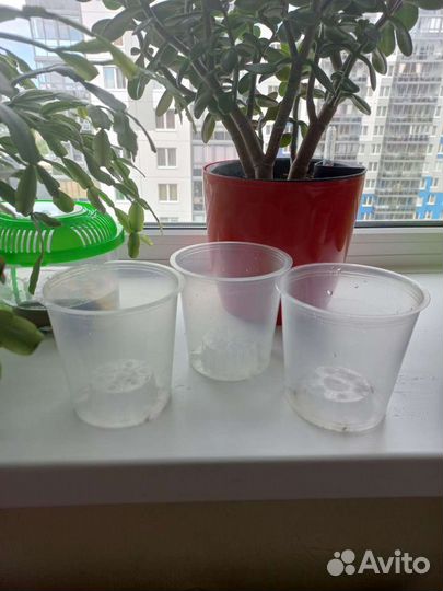 Горшок для орхидеи пластик