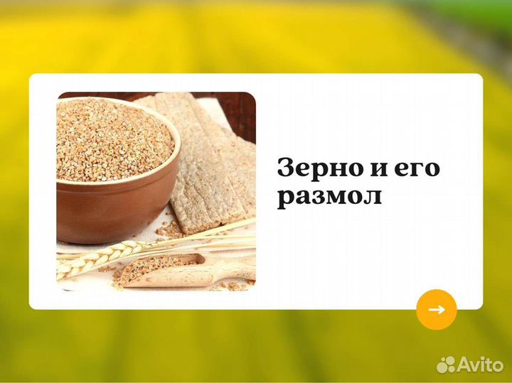 Пшеница Зерно (кг)