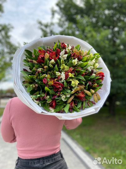 Альстромерия