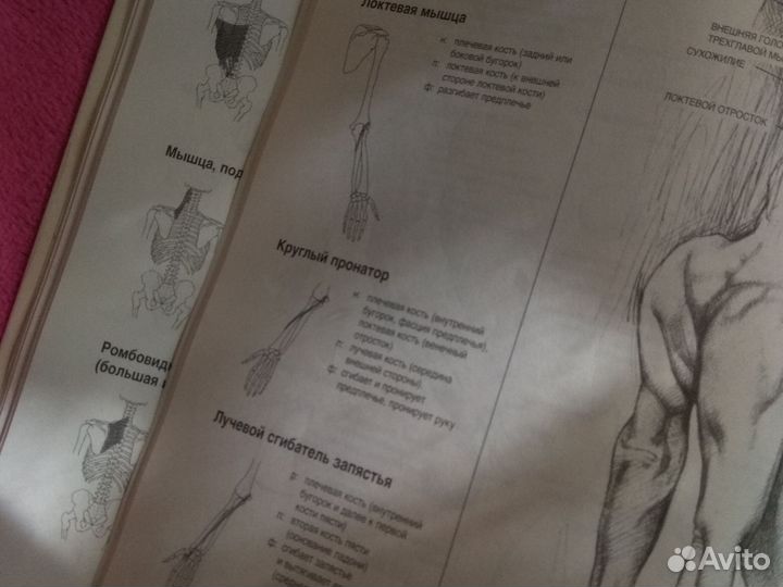 Книги рисунок анатомия композиция