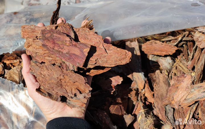 Кора лиственницы