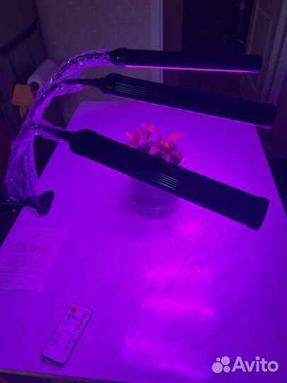 Идеальный свет для растений, фитолампы