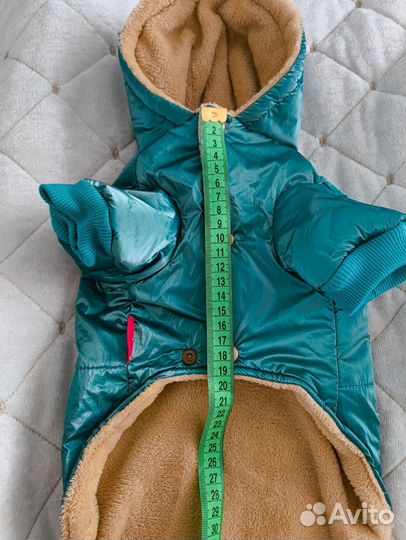 Костюм для маленькой собаки