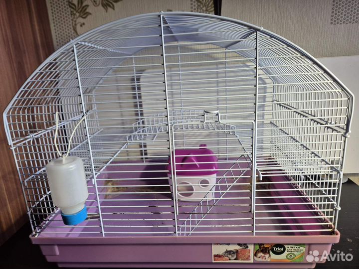 Клетка для хомяка бу