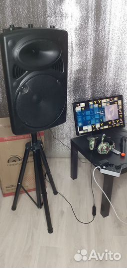 Профессиональная аудио система Эквалайзер Караоке