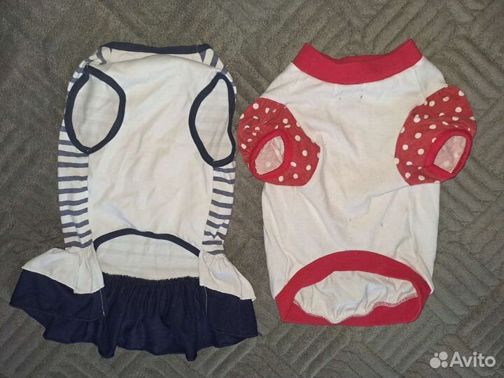 Кофточки для собачки