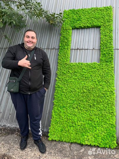 Мох Стабилизированный ягель, кочка, пласт, панно