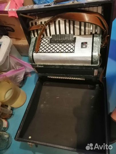 Аккордеон заря