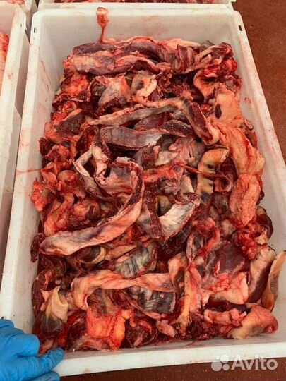 Обрезь сердца говяжьего