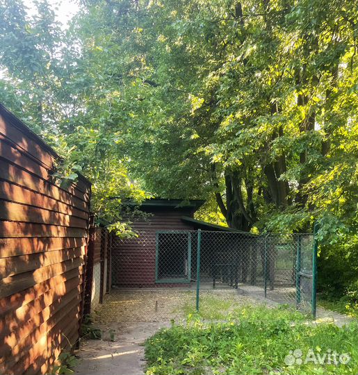 Гостиница для собак