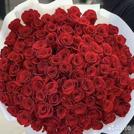 Высокие розы Букеты с доставкой