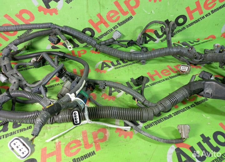 Коса двс lexus IS250 GSE20 4GR-FSE