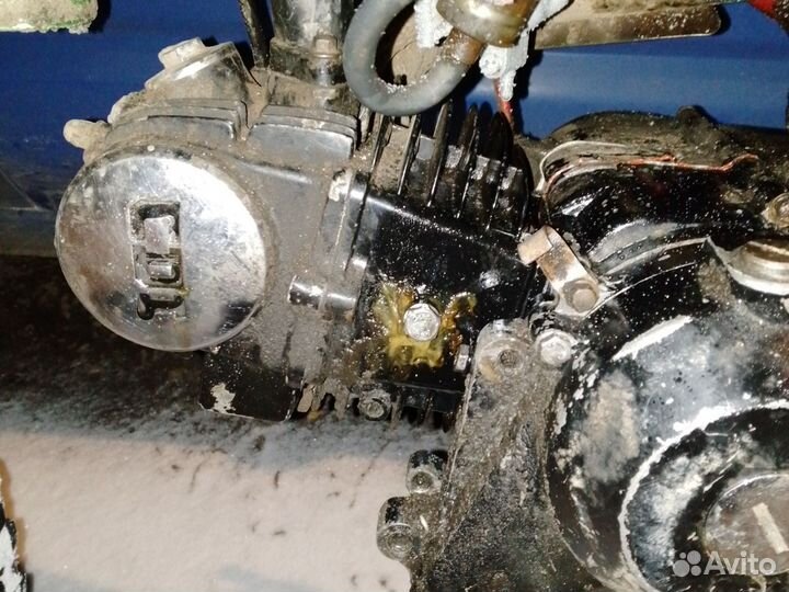 Irbis ttr 125