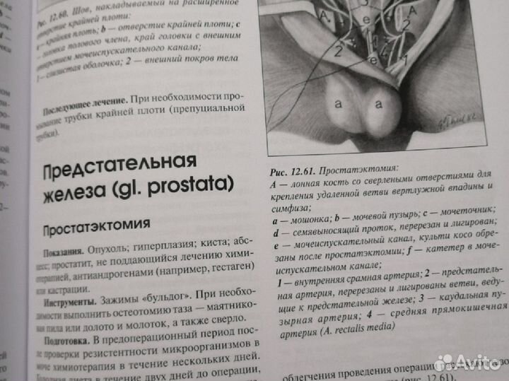 Оперативная хирургия собак и кошек