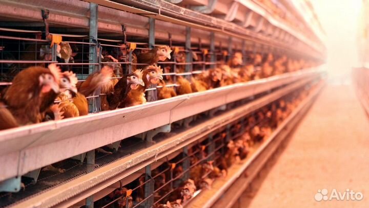 Работа вахтой