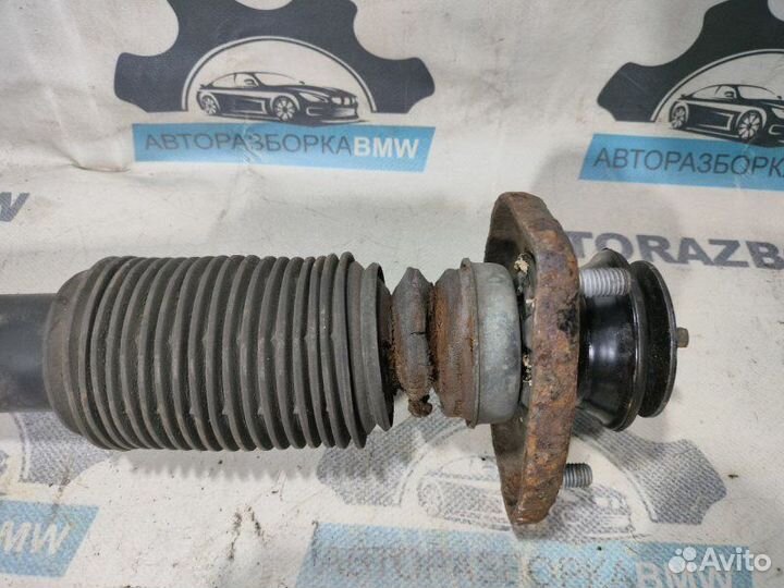 Амортизаторы задние Bmw X5 E53 M57D30 306D2 2006