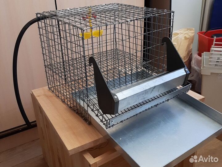Клетка для перепелов