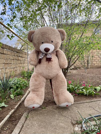 Плюшевый медведь 180см