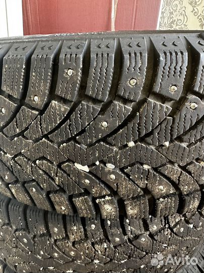 Formula Ice 205/55 R16