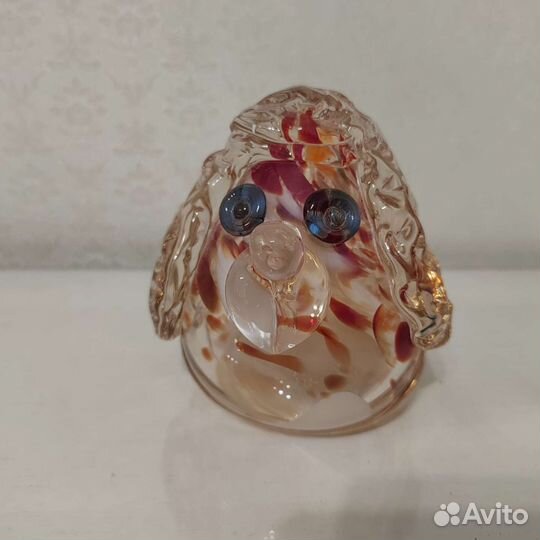 Декоративный пудель