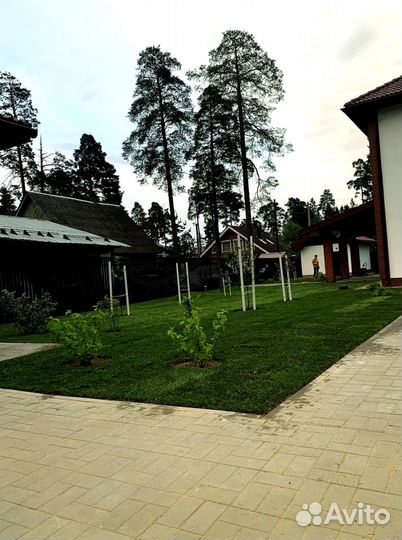 Рулонный газон