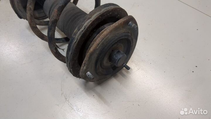 Амортизатор подвески Suzuki Liana, 2006