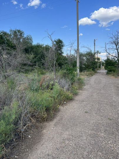 Участок 12 сот. (ИЖС)