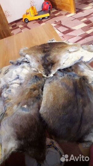 Шкурка ондатры