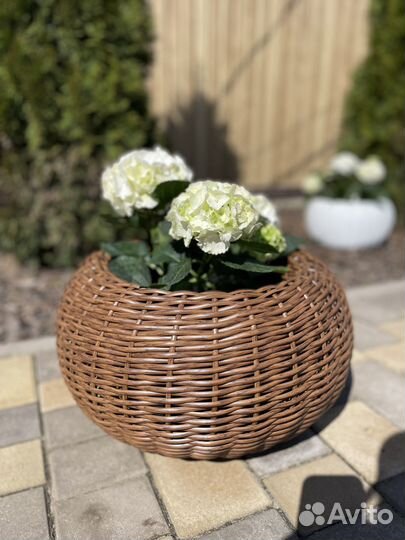 Вазон для растений