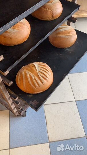 Помощь в открытии пекарни