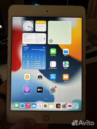 iPad mini 4 128gb cellular