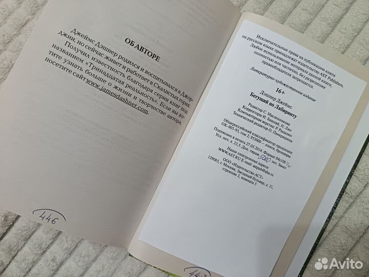 Бегущий по лабиринту Джеймс Дэшнер