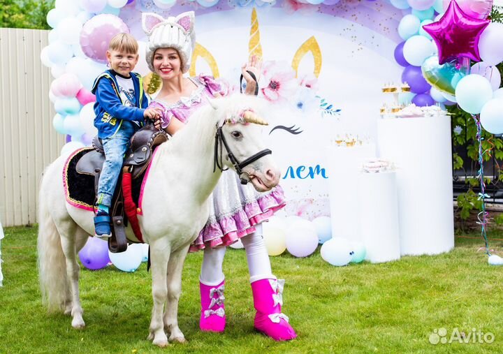 День рождения 