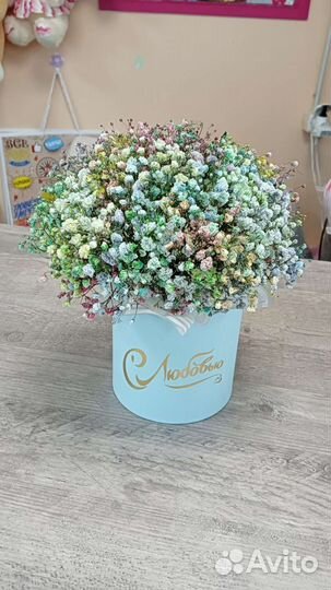 Цветы гипсофила